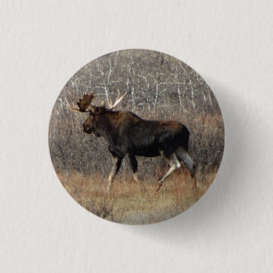 Badge Rond 2,50 Cm M8 Orignal