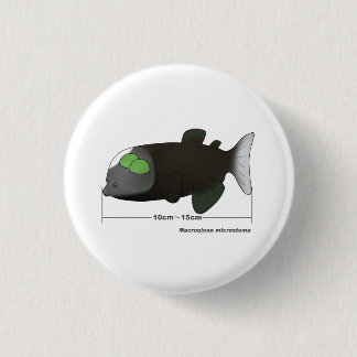 Badge Rond 2,50 Cm Macropinna microstoma actual size