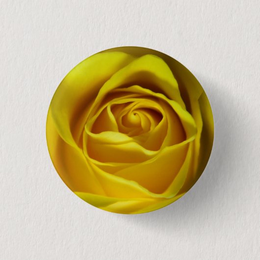 Badge Rond 2,50 Cm Magnifique image macro rose jaune (Devant)