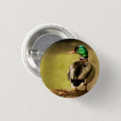 Badge Rond 2,50 Cm Mallard Duck (Devant & derrière)