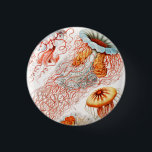 Badge Rond 2,50 Cm Méduse, Discomedusae par Ernst Haeckel<br><div class="desc">Méduse,  Discomedusae Scheibenquallen par Ernst Haeckel Button</div>