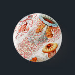 Badge Rond 2,50 Cm Méduse, Discomedusae par Ernst Haeckel<br><div class="desc">Méduse,  Discomedusae Scheibenquallen par Ernst Haeckel Button</div>