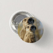 Badge Rond 2,50 Cm Meerkat (Devant & derrière)