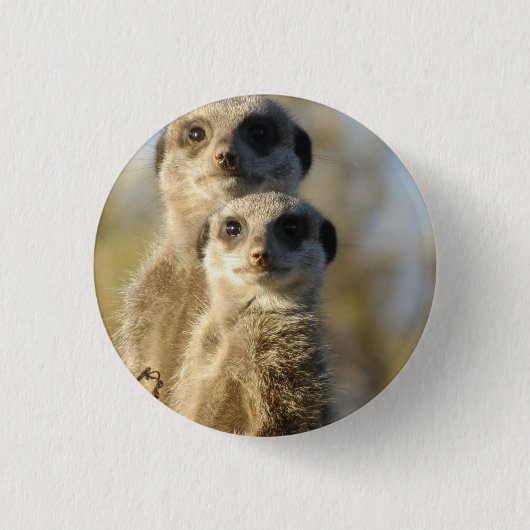 Badge Rond 2,50 Cm Meerkat (Devant)