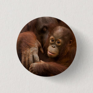 Badge Rond 2,50 Cm Mère orang-outan et bébé au zoo