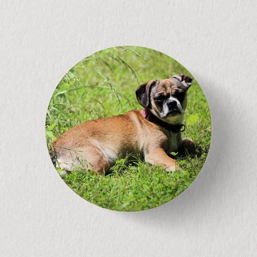 Badge Rond 2,50 Cm Molly (Devant)