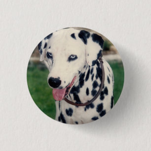 Badge Rond 2,50 Cm Mon Ami Pet Téléchargez Votre Propre Photo Personn