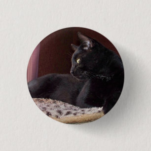 Badge Rond 2,50 Cm Mon garçon, Charlie Button