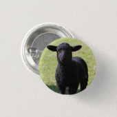 Badge Rond 2,50 Cm Mouton noir - Bouton (Devant & derrière)