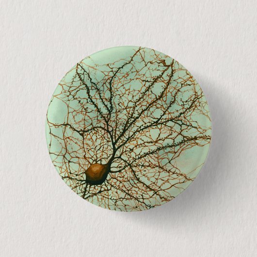 Badge Rond 2,50 Cm neurone hippocampal - bouton et Pin (Devant)