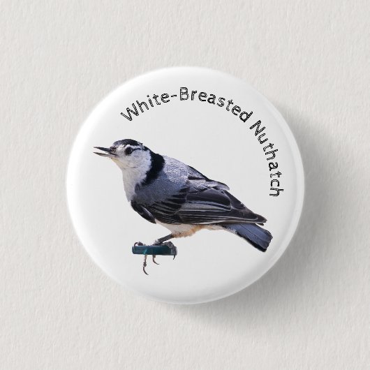 Badge Rond 2,50 Cm Nuthatch à poitrine blanche (Devant)