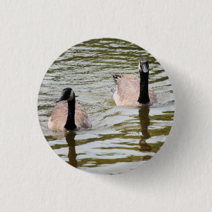 Badge Rond 2,50 Cm Oie