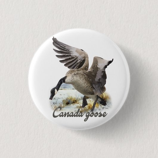 Badge Rond 2,50 Cm Oie du Canada, Art (Devant)