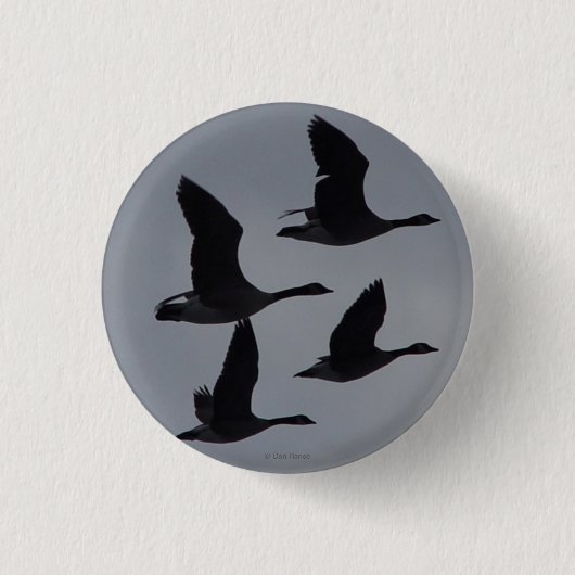 Badge Rond 2,50 Cm Oies B46 canadiennes en vol (Devant)