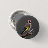 Badge Rond 2,50 Cm Oiseau de chardonneret (Devant & derrière)