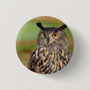 Badge Rond 2,50 Cm Oiseau de Chouette d'Europe