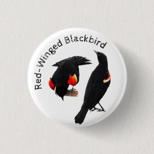 Badge Rond 2,50 Cm Oiseau noir à ailes rouges