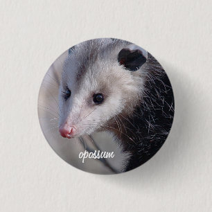 Badge Rond 2,50 Cm Opossum