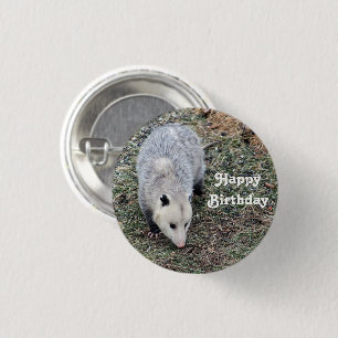 Badge Rond 2,50 Cm Opossum Photo Anniversaire