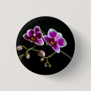 Badge Rond 2,50 Cm Orchidée rose blanc couleur sur noir pâle doux