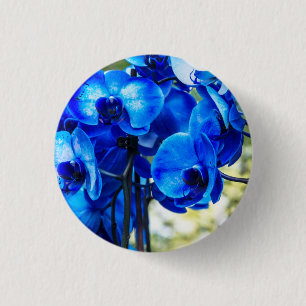 Badge Rond 2,50 Cm Orchidées bleues