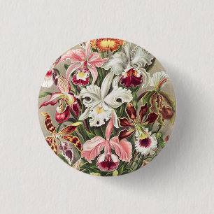Badge Rond 2,50 Cm Orchidées, Orchidée Denusblumen par Ernst Haeckel