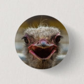 Badge Rond 2,50 Cm Ostrich Face Gros plan (Devant)