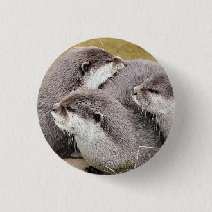 BADGE ROND 2,50 CM OTTERS COUPÉS