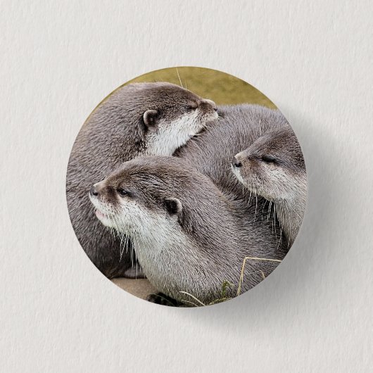 BADGE ROND 2,50 CM OTTERS COUPÉS (Devant)