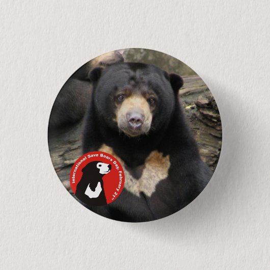 Badge Rond 2,50 Cm Ours ISBD de Sun (Devant)