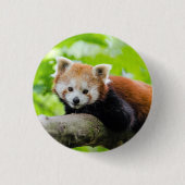 Badge Rond 2,50 Cm Panda rouge (Devant)