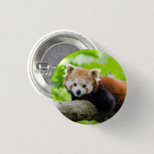 Badge Rond 2,50 Cm Panda rouge