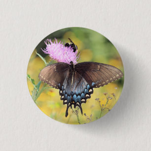 Badge Rond 2,50 Cm Papillon