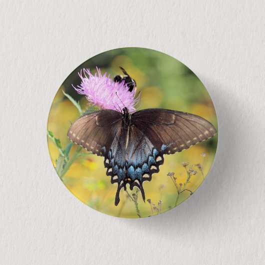 Badge Rond 2,50 Cm Papillon (Devant)