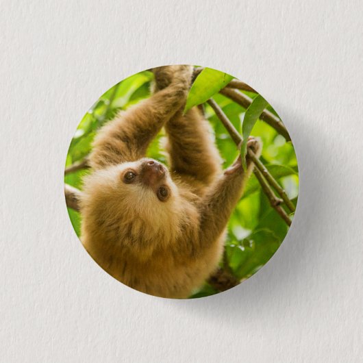 Badge Rond 2,50 Cm Paresse à l'envers des images | de Getty (Devant)