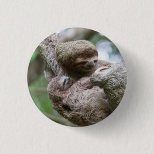 Badge Rond 2,50 Cm Paresseux bébé avec sa mère suspendue à un arbre