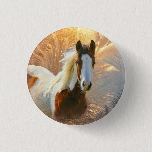 Badge Rond 2,50 Cm Peignez les boutons d'or de cheval (Devant)