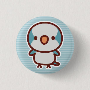 Badge Rond 2,50 Cm perruche moine bleue