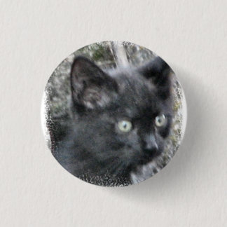 Badge Rond 2,50 Cm Petit bouton de chaton sauvage