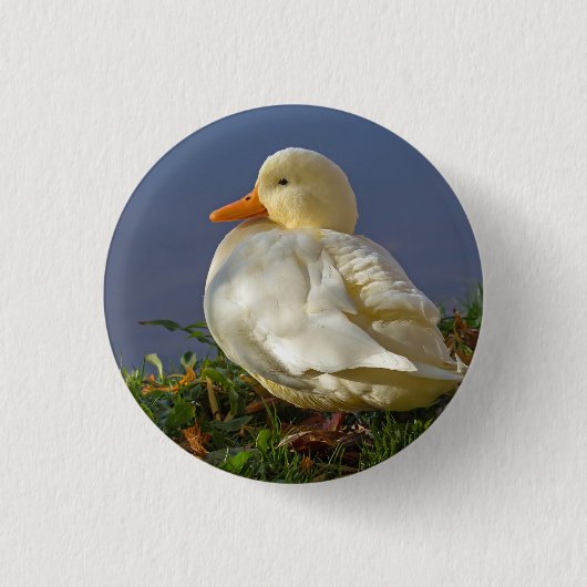 Badge Rond 2,50 Cm Petit canard blanc (Devant)