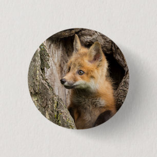 Badge Rond 2,50 Cm Petit Renard Rouge dans le Creux d'un Arbre