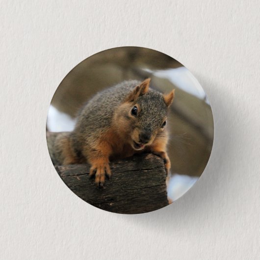 Badge Rond 2,50 Cm Pfft (Devant)