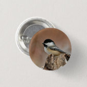 Badge Rond 2,50 Cm Photo Black Capped Chickadee Snow (Devant & derrière)