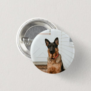 Badge Rond 2,50 Cm Photo de animal de compagnie personnalisée Télécha