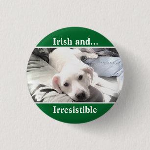Badge Rond 2,50 Cm Photo de Cute White Labrador Mix St. Patrick's Day