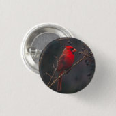 Badge Rond 2,50 Cm Photo du cardinal rouge de la faune (Devant & derrière)