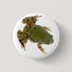 Badge Rond 2,50 Cm Photographie de grenouille d'arbre de l'Arizona