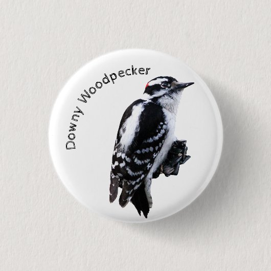 Badge Rond 2,50 Cm Pic Downy (Devant)