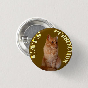 Badge Rond 2,50 Cm Pièce d'or de chat de gingembre, insigne rond