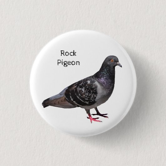Badge Rond 2,50 Cm Pigeon (Devant)
